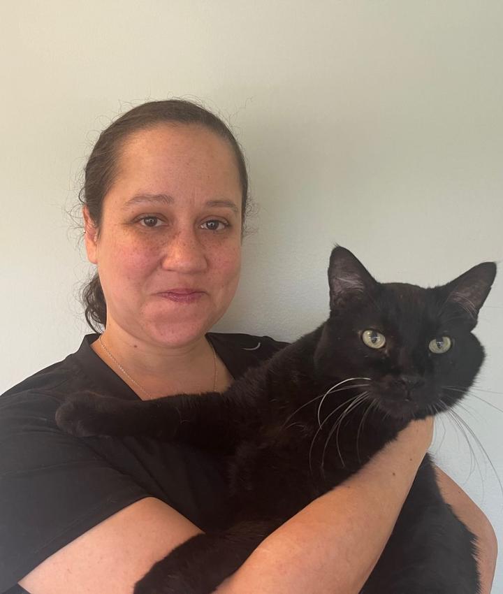 Experienced Cat Veterinarians Kansas City cat hospital